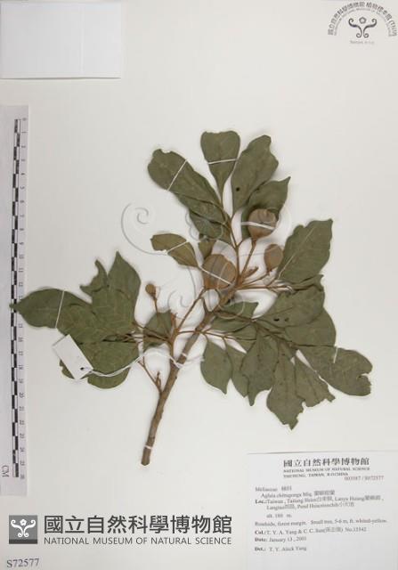 Accession Number:S072577 Collection Image