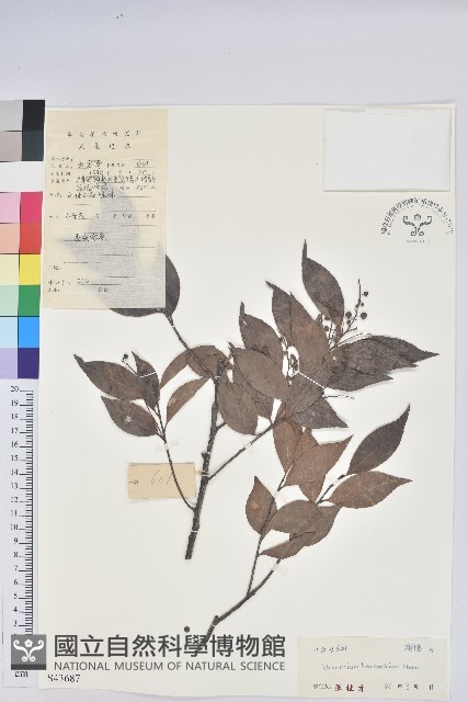 登錄號:S043687藏品圖，第1張