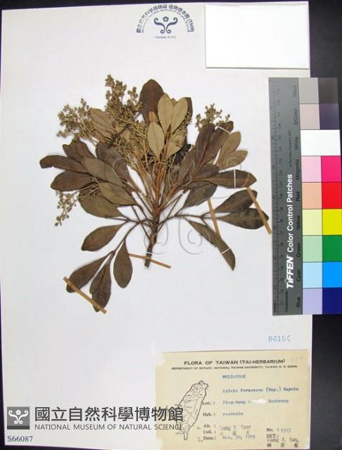 紅柴藏品圖，第1張