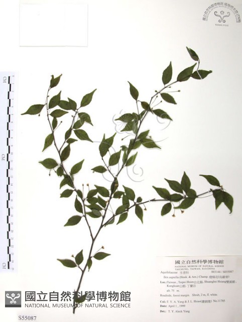 燈稱花、烏雞骨藏品圖，第1張
