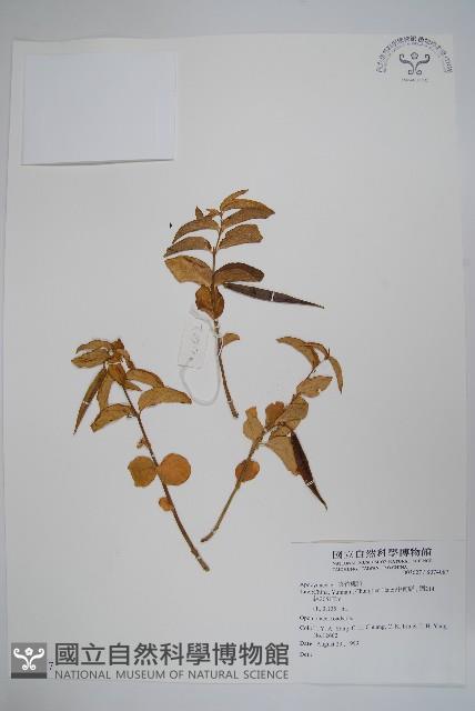 登錄號:S074087藏品圖，第1張