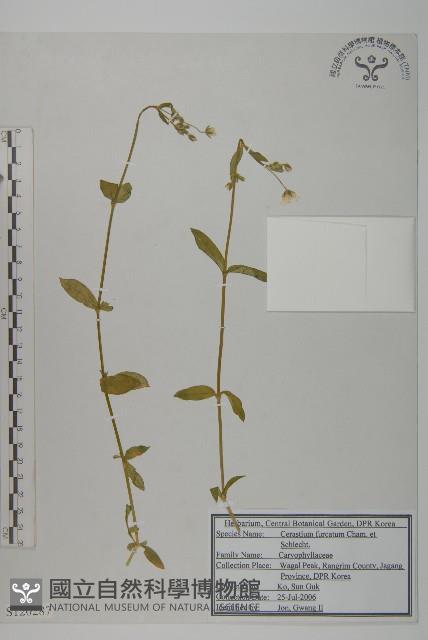 登錄號:S120287藏品圖，第1張