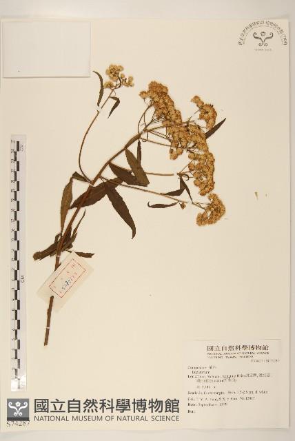 登錄號:S074287藏品圖，第1張