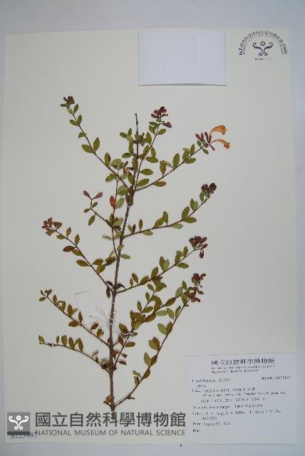 登錄號:S123487藏品圖，第1張