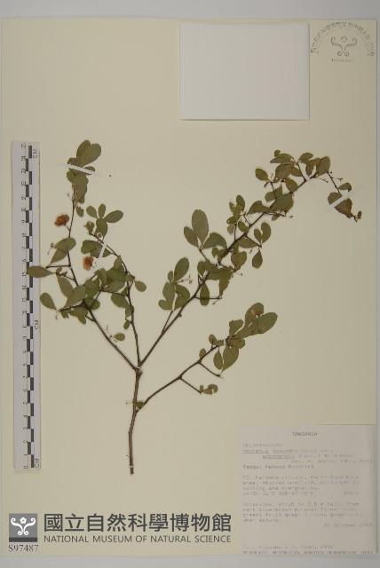 登錄號:S097487藏品圖，第1張