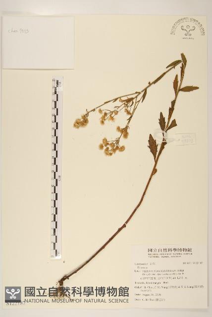 登錄號:S122187藏品圖，第1張