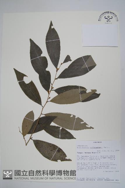 登錄號:S096387藏品圖，第1張