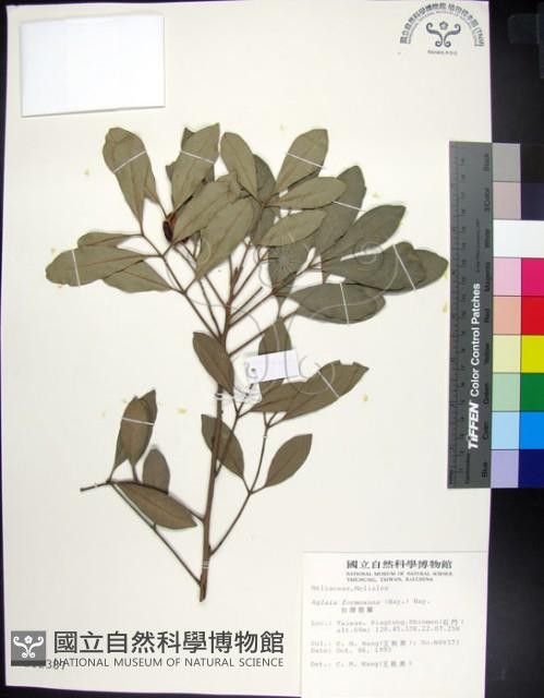 紅柴藏品圖，第1張