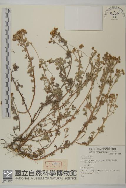 登錄號:S074387藏品圖，第1張