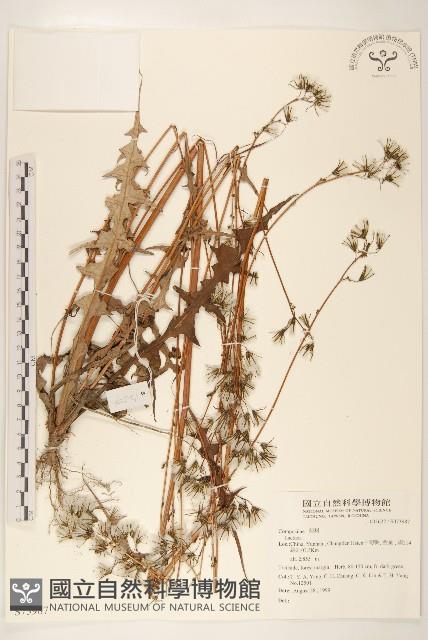 登錄號:S073987藏品圖，第1張