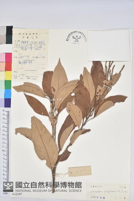 瓊崖石櫟藏品圖，第1張