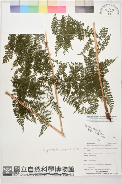 登錄號:P022626藏品圖，第1張