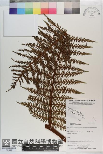 登錄號:P021206藏品圖，第1張