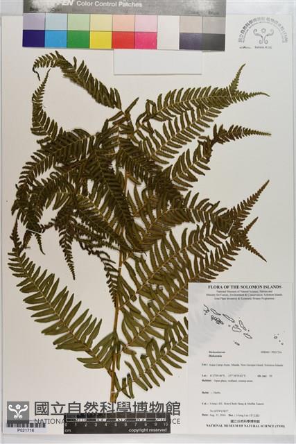 登錄號:P021716藏品圖，第1張