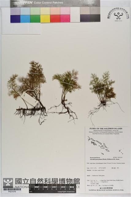 登錄號:P021016藏品圖，第1張