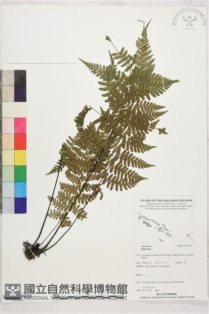 登錄號:P022556藏品圖，第1張