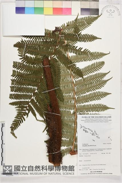 登錄號:P022596藏品圖，第1張