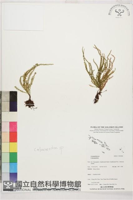 登錄號:P022696藏品圖，第1張