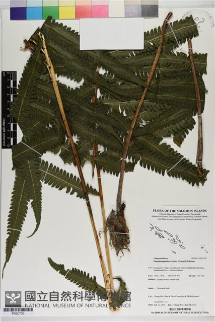 登錄號:P020736藏品圖，第1張