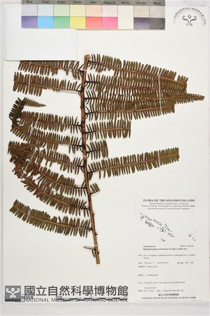 登錄號:P022636藏品圖，第1張