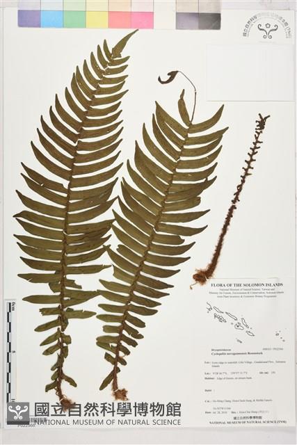 登錄號:P022566藏品圖，第1張