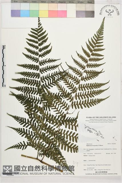 登錄號:P022666藏品圖，第1張