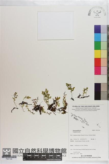 登錄號:P021146藏品圖，第1張