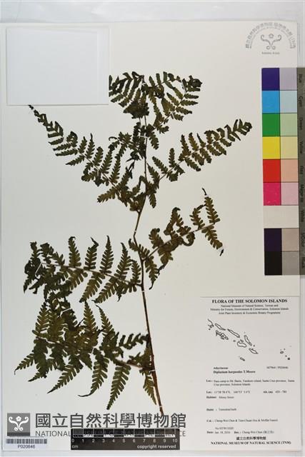 登錄號:P020646藏品圖，第1張