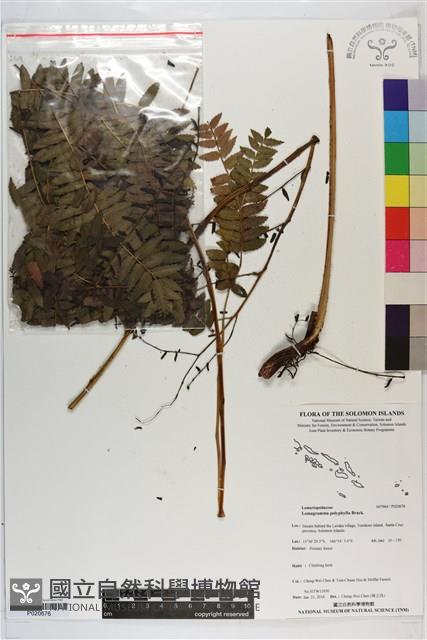 登錄號:P020676藏品圖，第1張