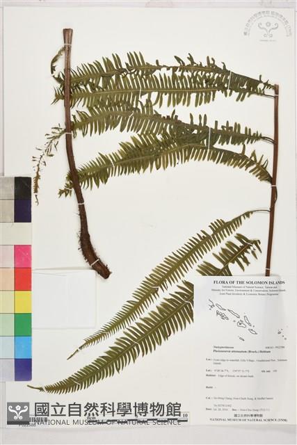 登錄號:P022586藏品圖，第1張