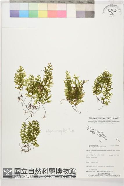 登錄號:P022686藏品圖，第1張