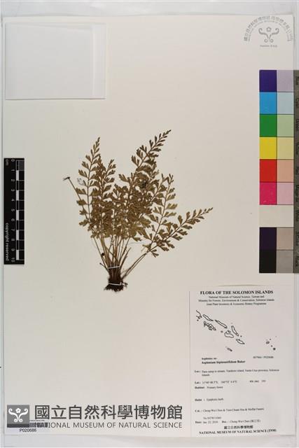 登錄號:P020686藏品圖，第1張