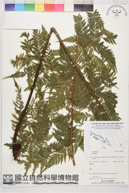 登錄號:P022622藏品圖，第1張