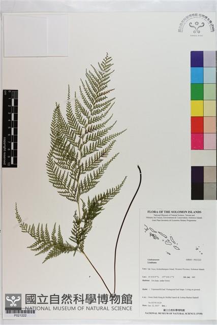 登錄號:P021222藏品圖，第1張