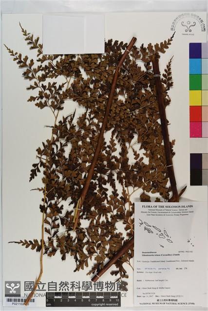 登錄號:P021102藏品圖，第1張