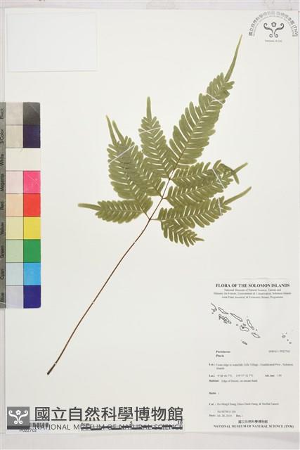 登錄號:P022702藏品圖，第1張