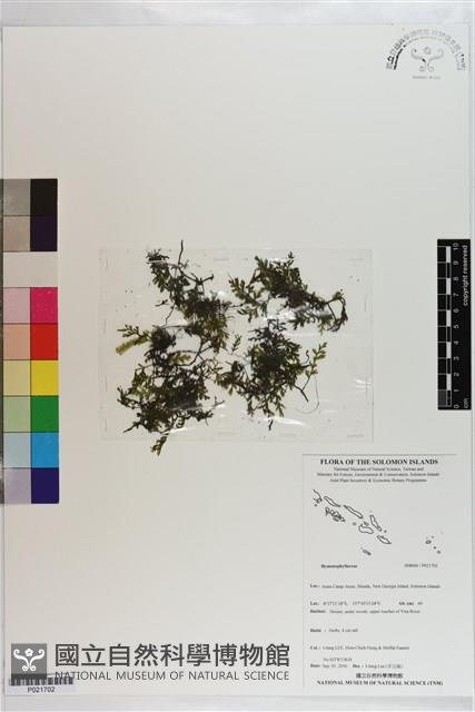 登錄號:P021702藏品圖，第1張