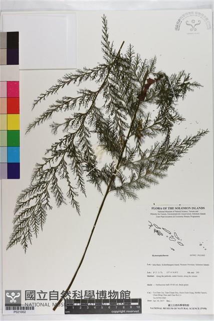 登錄號:P021002藏品圖，第1張