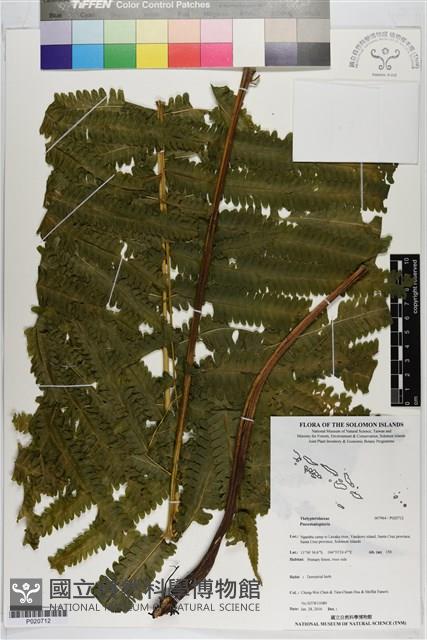 登錄號:P020712藏品圖，第1張