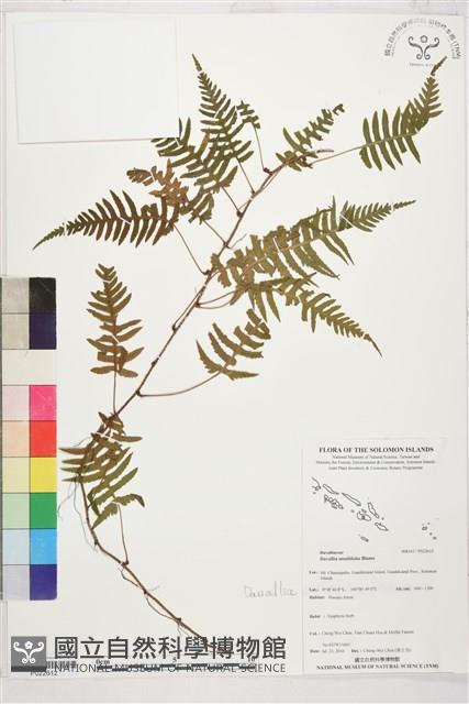 登錄號:P022612藏品圖，第1張