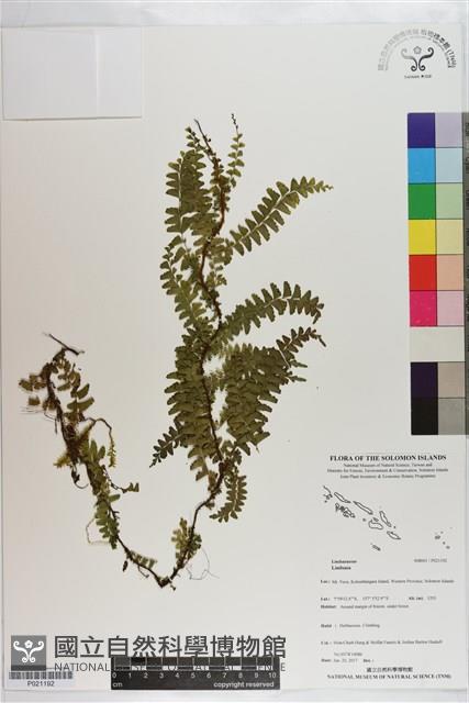 登錄號:P021192藏品圖，第1張