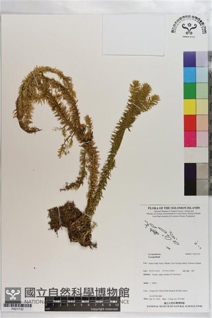 登錄號:P021732藏品圖，第1張