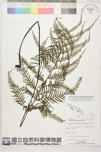 登錄號:P022632藏品圖，第1張