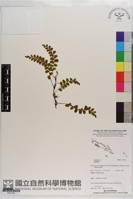 登錄號:P021762藏品圖，第1張