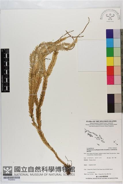 登錄號:P020642藏品圖，第1張