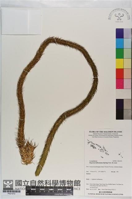 登錄號:P021072藏品圖，第1張