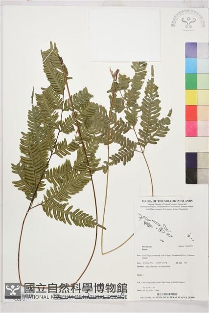 登錄號:P022572藏品圖，第1張