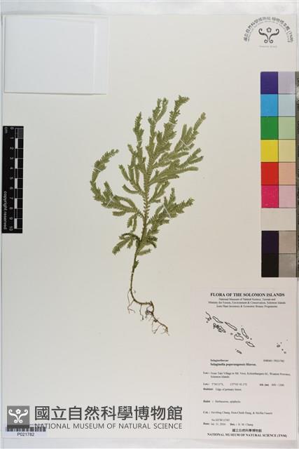 登錄號:P021782藏品圖，第1張