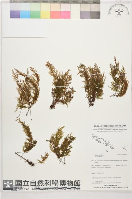 登錄號:P022682藏品圖，第1張