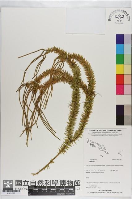 登錄號:P021282藏品圖，第1張